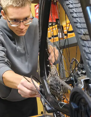 Home regulacja 390x500